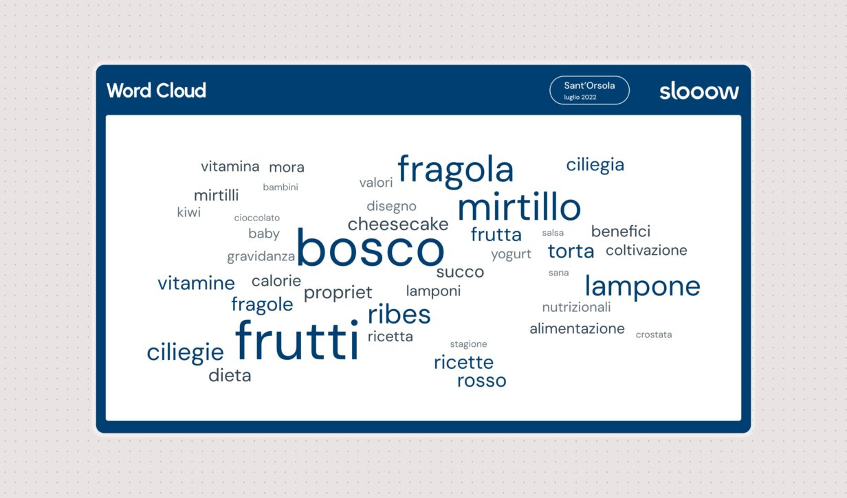 Word cloud realizzato da Slowmedia per Sant'Orsola.