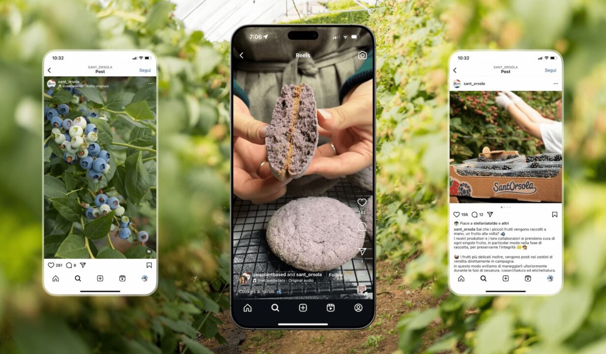 Post realizzati in collaborazione con diversi influencer per promuovere i contenuti dei piccoli frutti di Sant'Orsola.