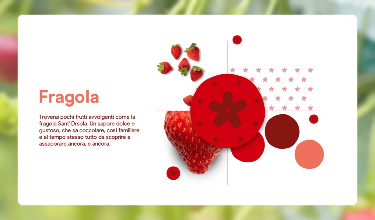 Rappresentazione di una fragola, con dettagli sul suo colore rosso. Descrizione del frutto, delle sue caratteristiche e del suo gusto.