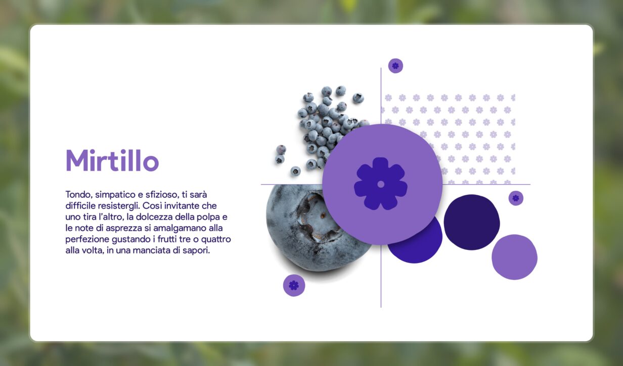 Rappresentazione di un mirtillo, con dettagli sul suo colore viola-blu. Descrizione delle sue caratteristiche e del suo gusto.