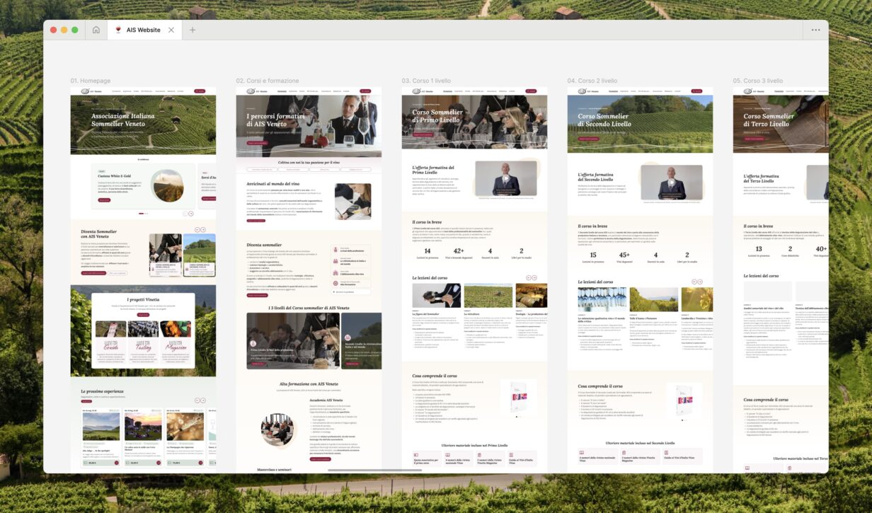 Interfaccia del sito web.