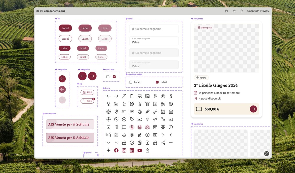 Design system del sito AIS Veneto con componenti UI come icone, checkbox e navigazione.